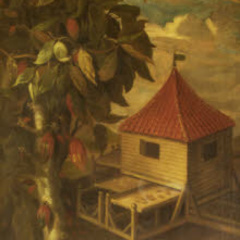 A cocoa tree with pods on its trunk stands beside a small hut where cocoa is dried and processed.