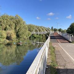 A calm riverside scene near Cambridge featuring a single sculler rowing on the river, with green vegetation along both banks and the Equiano Bridge spanning the water in the background.