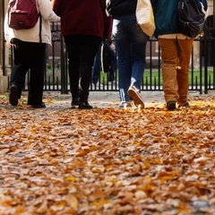 A walkway covered in orange autumn leaves with several people walking ahead toward a black iron gate and historic stone building.
