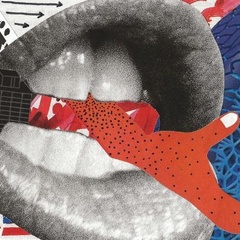 A collage-style artwork featuring a large black‑and‑white photograph of an open mouth, with a bright red illustrated hand shape extending from between the lips. Surrounding the central image are layered graphic elements, including bold black text fragments, abstract blue patterns, and red and white shapes, creating a dynamic and visually striking composition.