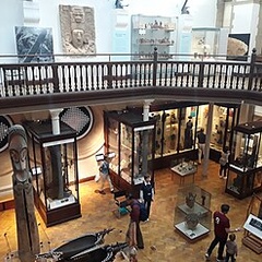 Interior view of the Museum of Archaeology and Anthropology, Cambridge, with display cases and artefacts arranged in a gallery space.