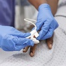 Patient and clinical staff in a hospital setting
