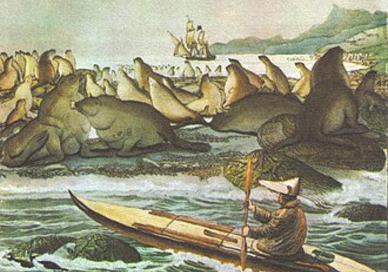 Illustration of sea otters on a rocky shore with an Indigenous person paddling a kayak in the foreground